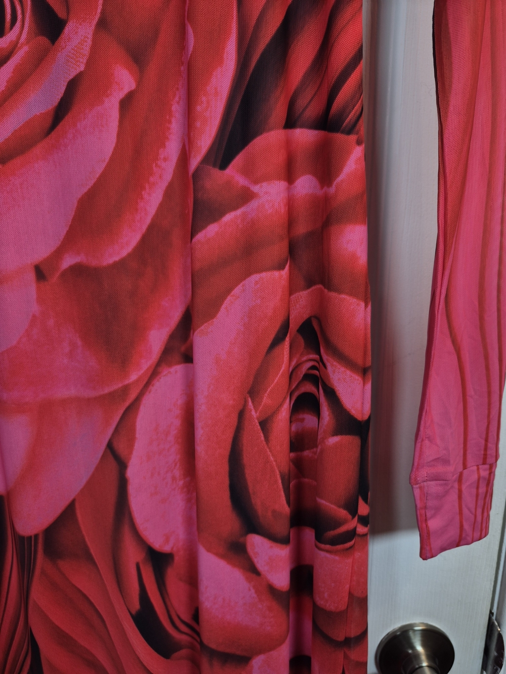 AFRM Didi Mesh Maxi Dress S NWT Pink Red Rose Print Floral Long Sleeve Bodycon - Picture 3 of 7